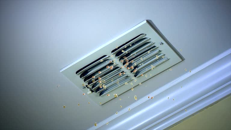 Best Professional Duct Cleaning Services  in Clarkston, WA